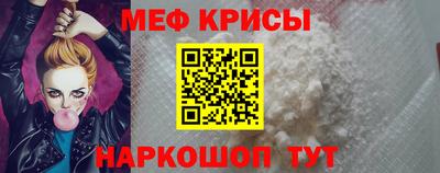 СК Кингисепп