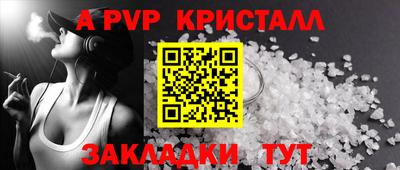 СК Кингисепп