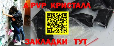 СК Кингисепп