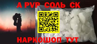 СК Кингисепп