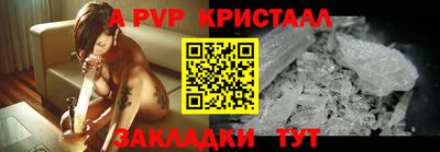 СК Кингисепп