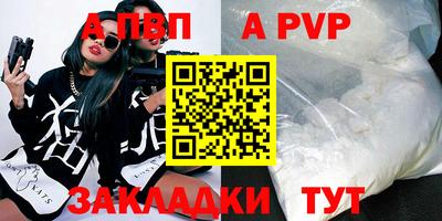 СК Кингисепп