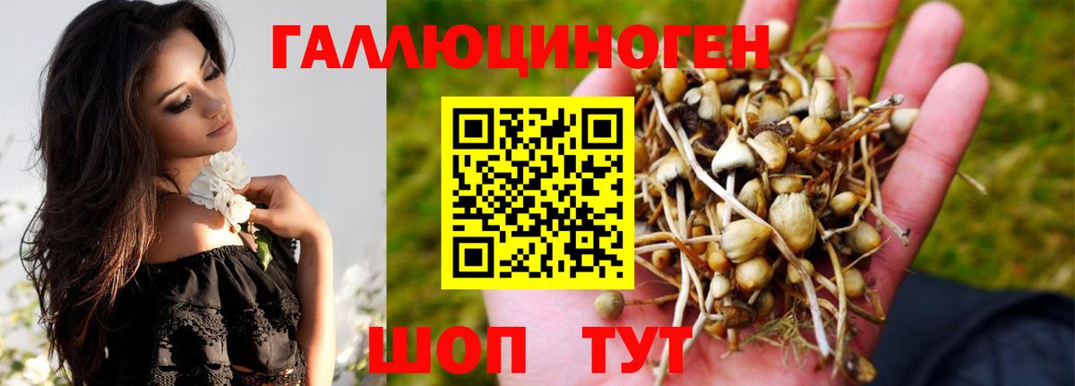 Галлюциногенные грибы Magic Shrooms  Псилоцибиновые грибы прущие грибы  как найти   Вход с VPN  Старая Купавна 